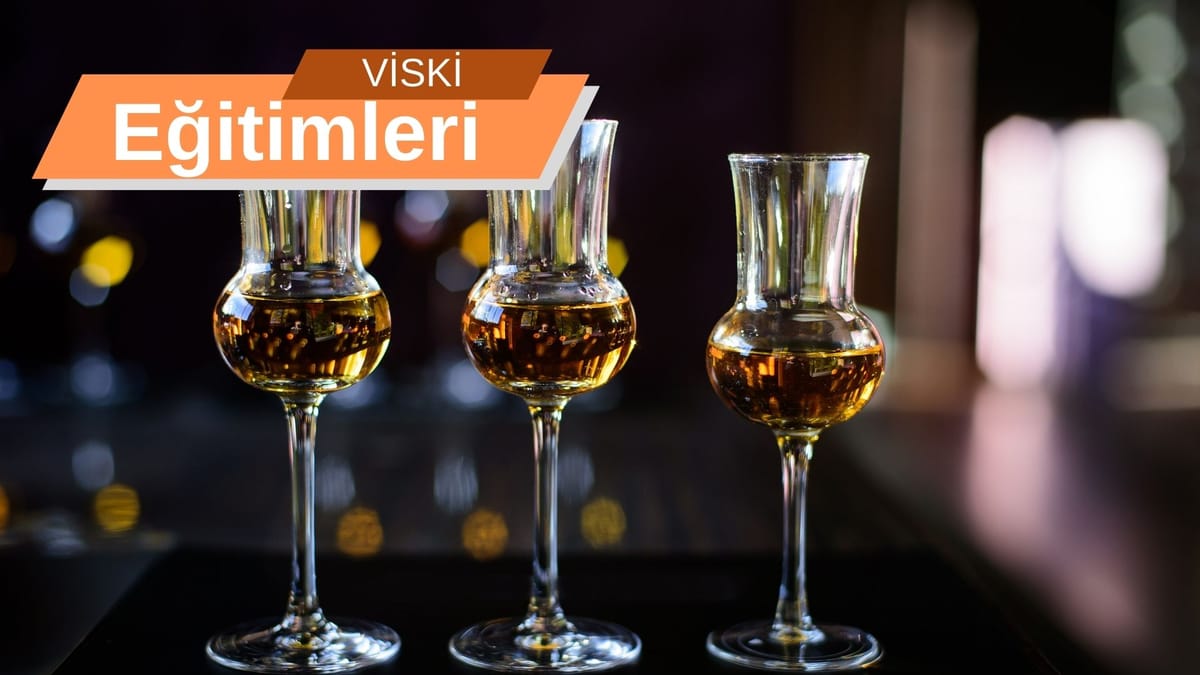 Viski Eğitimleri